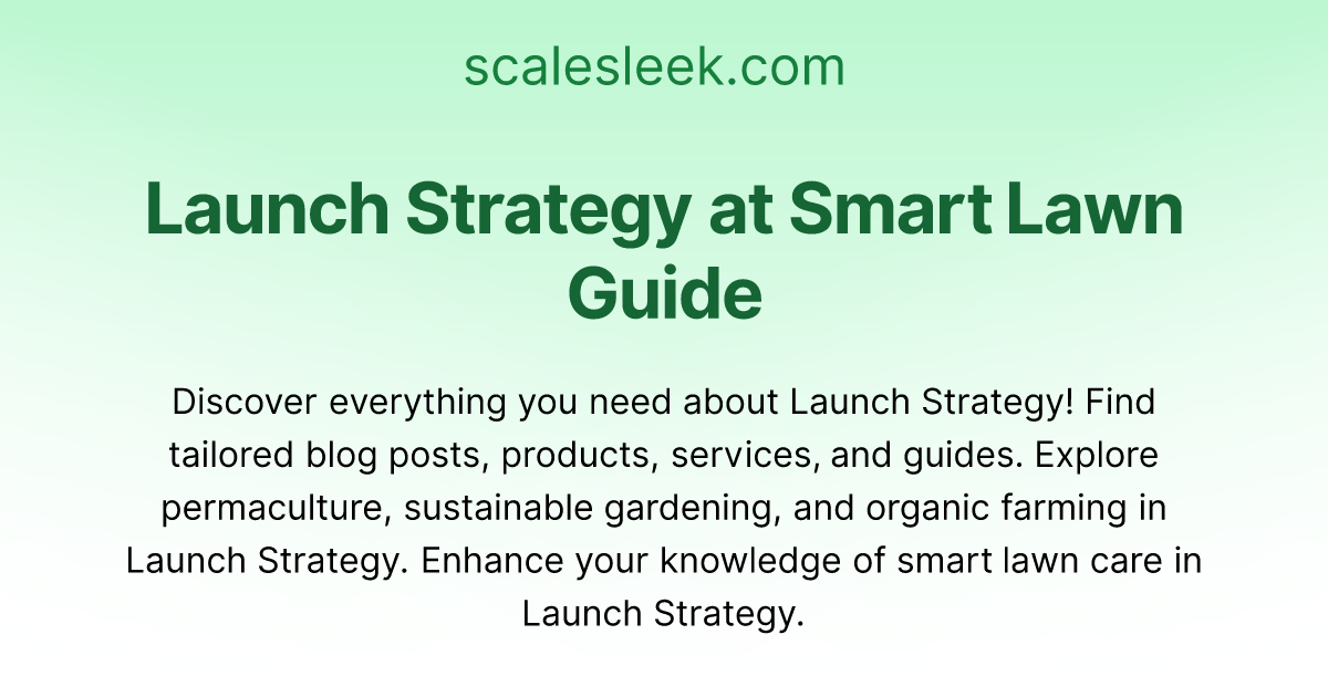 Level Up Your Launch Strategy | Scale Sleek