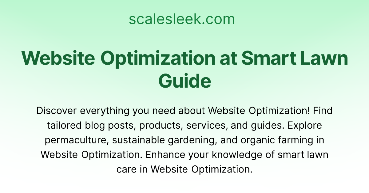 Level Up Your Website Optimization | Scale Sleek